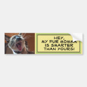 Humoureus Siamese Kitten Close-up-fotosjabloon Bumpersticker (Voorkant)