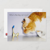 Humoureus "Wie is nu de grote kat?" Briefkaart (Voorkant / Achterkant)