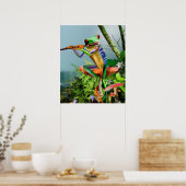 Humoureuze boomkikker die de flank afspeelt poster (Keuken)