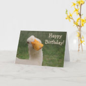 Humoureuze gans Birthday Kaart (Gele Bloem)