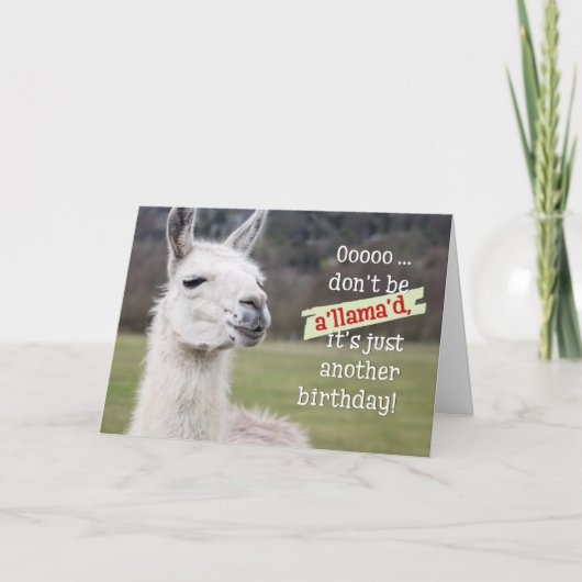 Humoureuze Kaart op zaterdag - De Happy Llama (Voorkant)