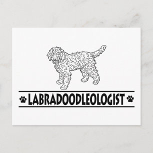 Humoureuze Labradoodle Briefkaart