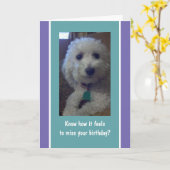 Humoureuze, leuke late verjaardagskaart kaart (Gele Bloem)