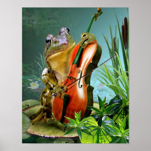 Humoureuze scène kikker met cello in lieviervijver poster (Voorkant)
