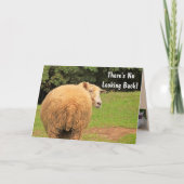 Humoureuze schapendienst op zaterdag kaart (Voorkant)