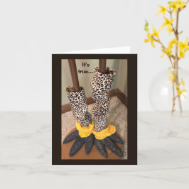 Humoureuze sokken op een kip kaart