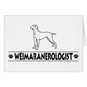 Humoureuze weimaraner