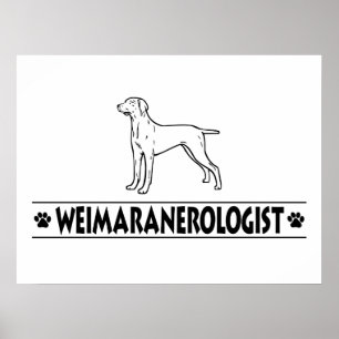 Humoureuze weimaraner poster
