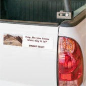 Hump Dag Bumpersticker (Op Truck)