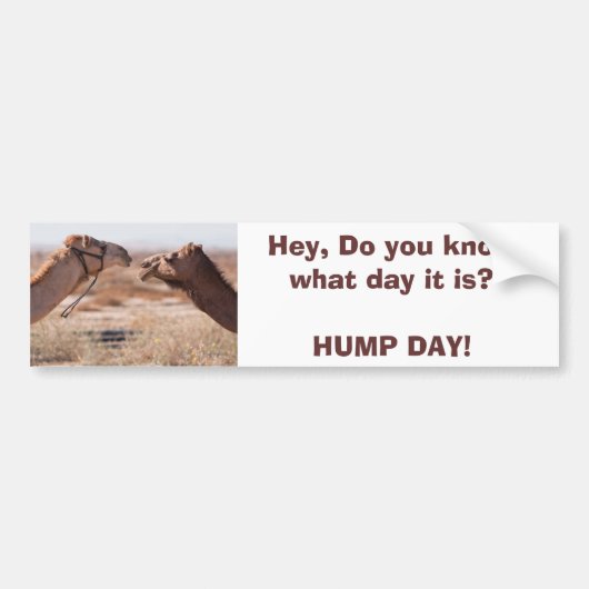 Hump Dag Bumpersticker (Voorkant)
