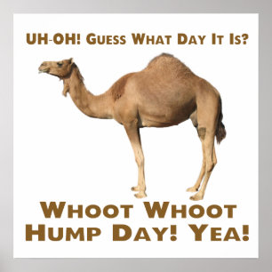 Hump Dag Poster