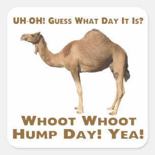 Hump Dag Vierkante Sticker