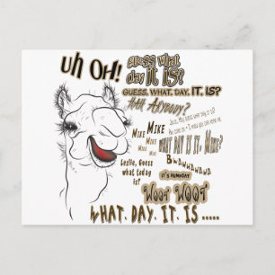 Hump Day Camel Briefkaart