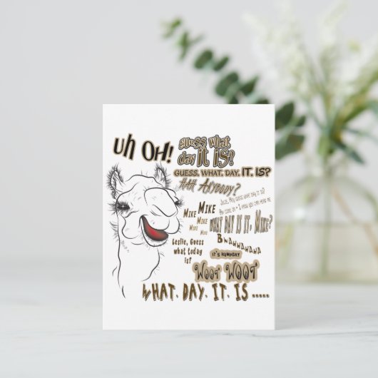 Hump Day Camel Briefkaart (Staand voorkant)