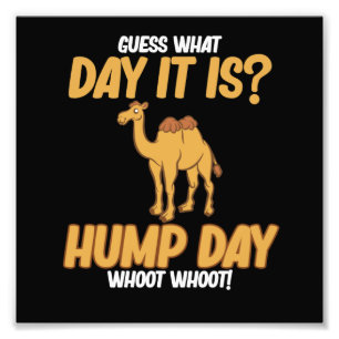Hump Day Camel Dierenvriend Camels Pet Owner Graph Foto Afdruk