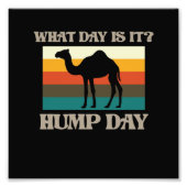 Hump Day Camel Dierenvriend Camels Pet Owner Graph Foto Afdruk (Voorkant)