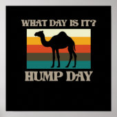 Hump Day Camel Dierenvriend Camels Pet Owner Graph Poster (Voorkant)