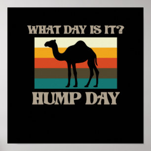 Hump Day Camel Dierenvriend Camels Pet Owner Graph Poster