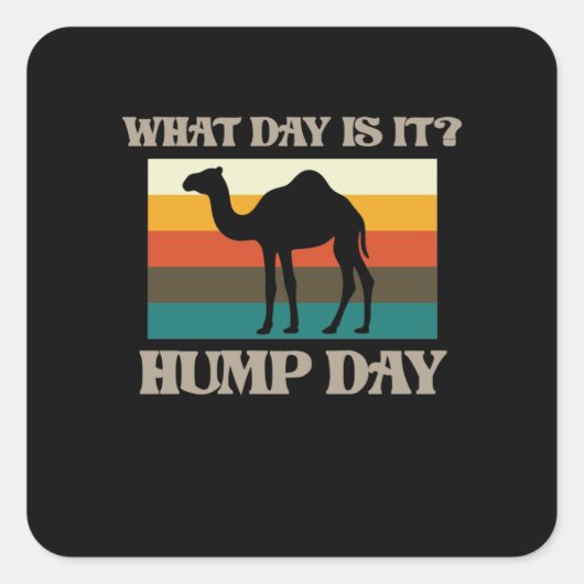 Hump Day Camel Dierenvriend Camels Pet Owner Graph Vierkante Sticker (Voorkant)