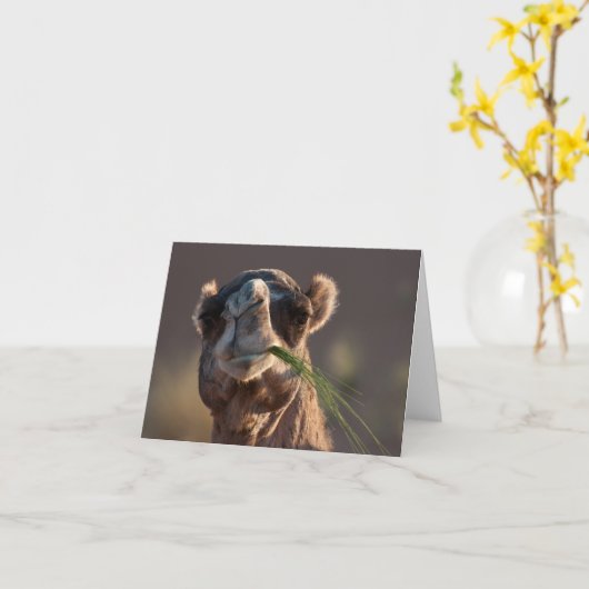 Hump Day Camel Feasting on Green Grass Kaart (Gele Bloem)