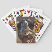 Hump Day Camel Feasting on Green Grass Speelkaarten (Achterkant)