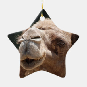 Hump Day Camel Keramisch Ornament