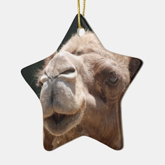 Hump Day Camel Keramisch Ornament (Links)