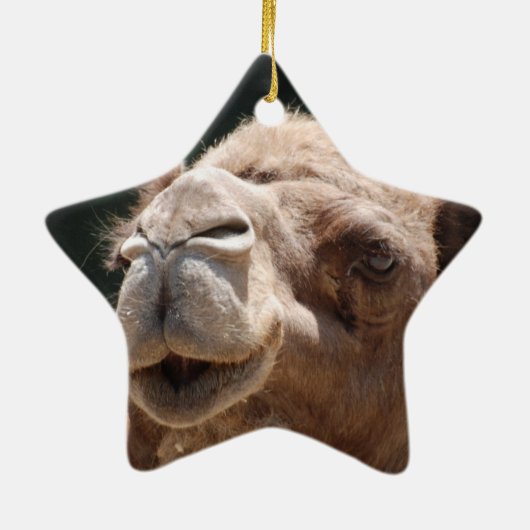 Hump Day Camel Keramisch Ornament (Achterkant)