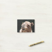 Hump Day Camel Post-it® Notes (Op bureau)