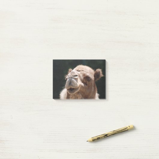 Hump Day Camel Post-it® Notes (Op bureau)