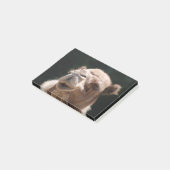 Hump Day Camel Post-it® Notes (Schuin)