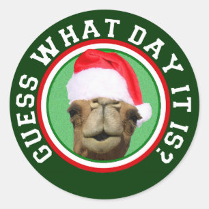 Hump Day Camel Raad eens welke dag het is Kerstmis Ronde Sticker