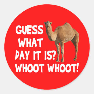 Hump Day Camel Raad eens welke dag het is Stickers
