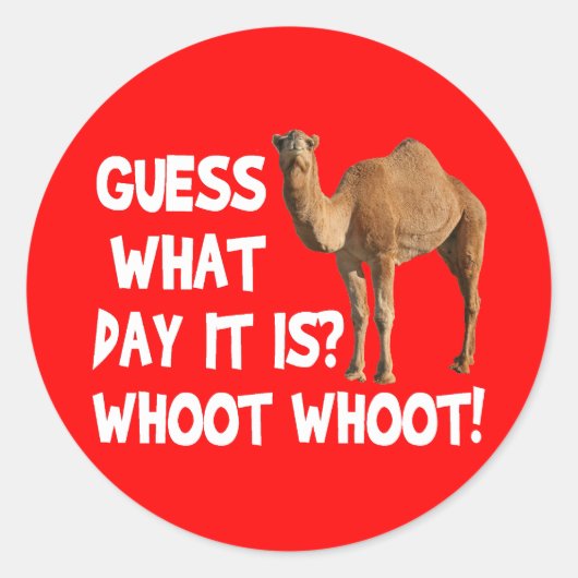 Hump Day Camel Raad eens welke dag het is Stickers (Voorkant)