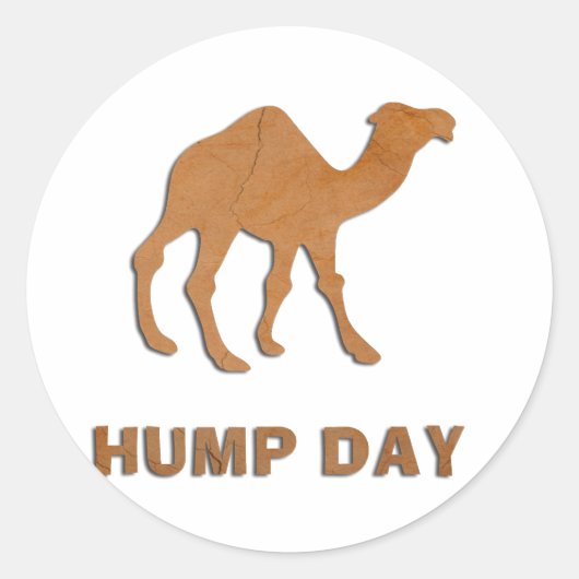 HUMP DAY CAMEL RONDE STICKER (Voorkant)