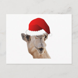 Hump Day Camel Santa Claus Pet Feestdagenkaart