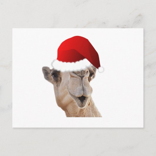 Hump Day Camel Santa Claus Pet Feestdagenkaart (Voorkant)