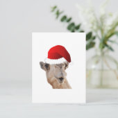 Hump Day Camel Santa Claus Pet Feestdagenkaart (Staand voorkant)