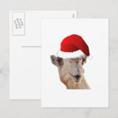 Hump Day Camel Santa Claus Pet Feestdagenkaart (Voorkant / Achterkant)
