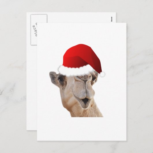 Hump Day Camel Santa Claus Pet Feestdagenkaart (Voorkant / Achterkant)