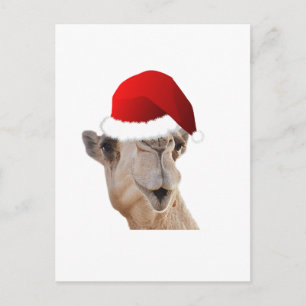Hump Day Camel Santa Claus Pet Feestdagenkaart