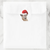 Hump Day Camel Santa Claus Pet Ronde Sticker (Tas)