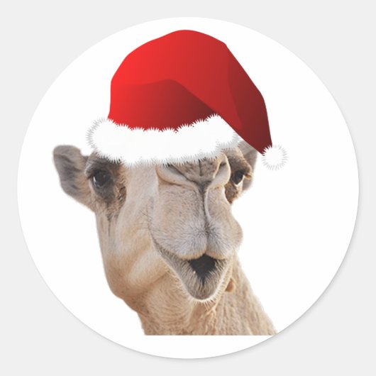 Hump Day Camel Santa Claus Pet Ronde Sticker (Voorkant)