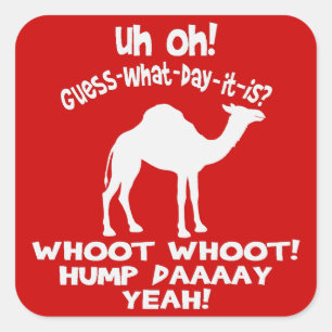 Hump Day Camel Stickers