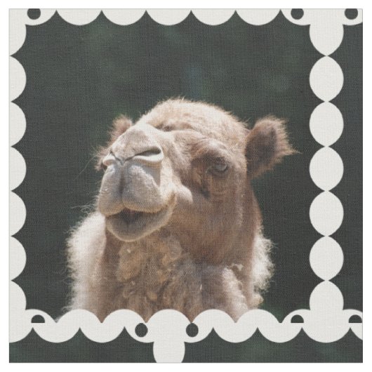 Hump Day Camel Stof (Close Up)