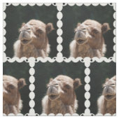 Hump Day Camel Stof (Swatch)