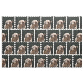Hump Day Camel Stof (Fat Quarter)
