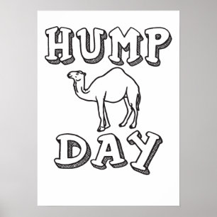 Hump Day - Grappige kameel Poster