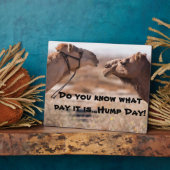 Hump Day-kamels Fotoplaat (Zijkant)