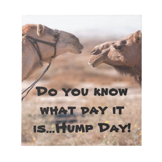 Hump Day-kamels Notitieblok (Voorkant)